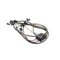 True Junction Box #53 Wire Harness 801734